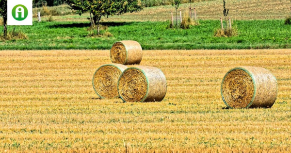 Megjelent a lista az Aöp-ben alkalmazható szerekről!