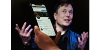  Lebuktatta magát Elon Musk, van egy másik profilja is a Twitteren  