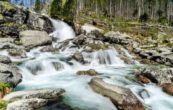 Kitilthatják a kutyásokat a Tátrai Nemzeti Parkból