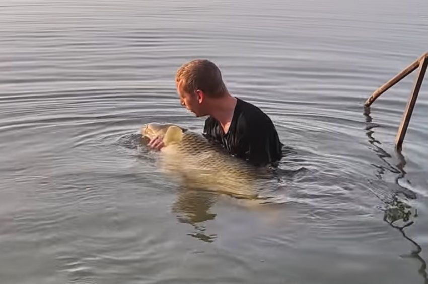 Kifogták az év egyik legnagyobb halszörnyét a Balatonból – fotó