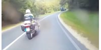  Centiken múlt, hogy nem lökte fel a motoros rendőrt a szarvas – videó  