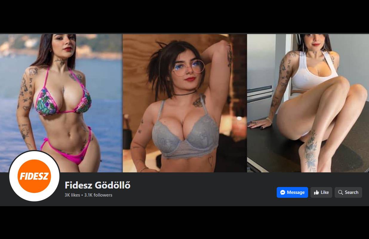 Mi történhetett? Bikinis lányok és pajzán videók lepte el a gödöllői Fidesz Facebook-oldalát