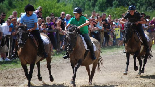 Festetics Vágta 2024 Gyenesdiás