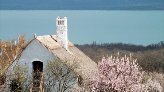 Húsvéti tojásgurító verseny 2024 Balatonakali