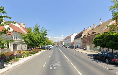 Őrizetbe vették a mosonmagyaróvári 20 éves lányt, aki a családtagjait és járókelőket késelt meg