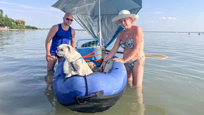 Így pancsolnak a kutyák a Balatonkenesén, pedig hivatalosan nem is az ő strandjuk – fotók