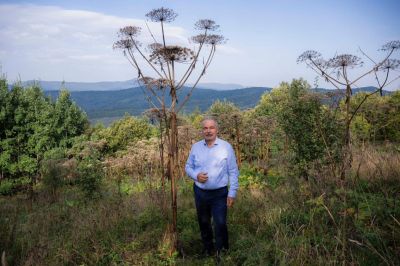 Nagy István: 390 ezer hektáron okozott kárt az aszály