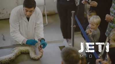 Állatboncolás gyerekek előtt a Jeti Moziban