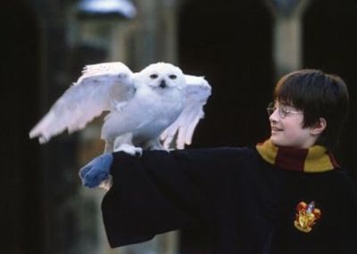 Legyél te a következő Harry Potter! Nyílt castingon keresik a varázslótanoncot a MAX sorozatához!