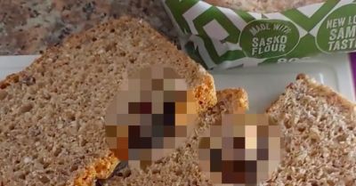 Toastot vett a szupermarketben a nő: amikor meglátta, mibe harapott, kifordult a gyomra - Videó