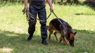 Elhunyt az eltűnt bükkaranyosi tini, leállhat a Golf-áramlat, az időjárás megnehezítette az eltűnt Dani keresését