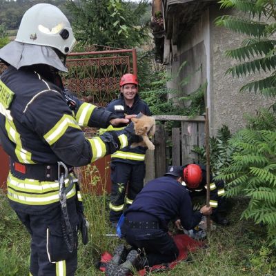 Három kiscicát mentettek ki egy csatornából Marosvásárhelyen