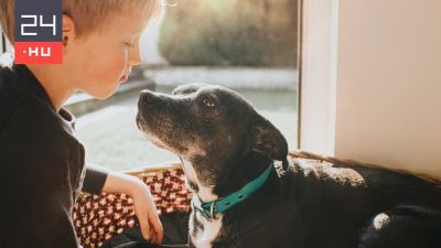 Különleges kapocsra bukkantak kutya és ember közt