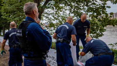 Rabló és pandúr együtt tölti a homokzsákokat a Margit-szigeten: éjjel sem áll le a munka – videó