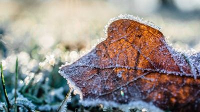 Nem kaptunk jó híreket: ismét fagypont felé közelítünk az éjjel