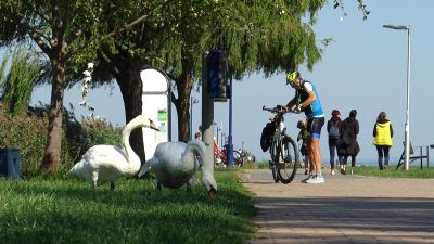 Kommentár nélkül – Indián nyár Balatonmáriafürdőn – VIDEÓ