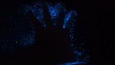 Puerto Rico biolumineszcens öblei: természeti jelenség, amely továbbra is gyönyörű