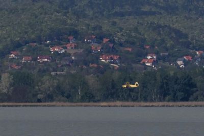  A Duna és a Lajta mentén gyérítik a szúnyogokat az árvíz után  