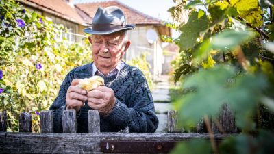 105 évesen is még mindennap dolgozik Hidvégi Mihály