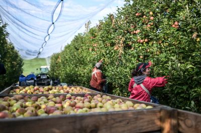 Agrárminisztérium: Véleményezhető a Mezőgazdasági kisüzemek beruházási támogatása című felhívás