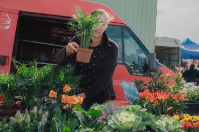 Újra megtartják a növénypiacot Vásárhelyen, ahol pénz helyett többek között lekvárral lehet fizetni