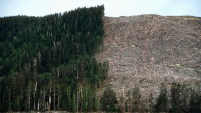 Gellert kaphat az EU drámai zöldtörvénye