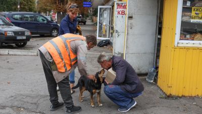 Élet a peremen – képek a frontvonalról, Ukrajna ostromlott településéről, Pokrovszkból