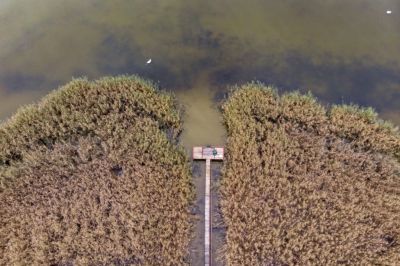 Folytatják az illegális stégek, építmények felszámolását a Balatonon