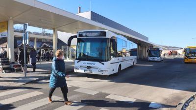 A balatoni buszjáratról dönthetnek az utasok