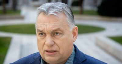 Tényleg kavarhatott valamit Orbán Viktor öccse vietnámiak vízumával