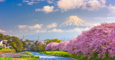 Ha valakit érdekel a japán piac, van segítség a betöréshez