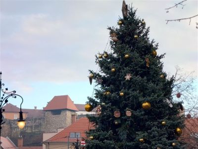 Eger karácsonyfája ismét kerestetik