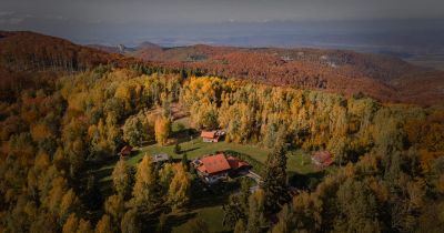 Irány az erdei Turistapark Szentlélek!