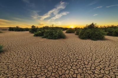 Az EU célként tűzte ki: le kell győzni az aszályokat 2030-ig