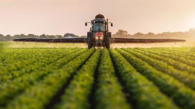 Kezdik kifizetni az agrártámogatások előlegeit