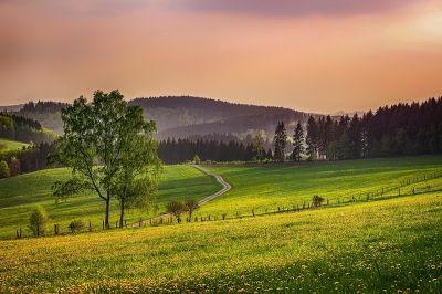 Utalják a mezőgazdasági támogatások előlegét