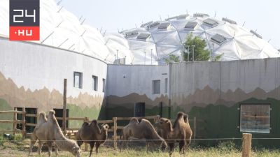 Már a bontás is szóba jön a hatalmas pénzeket felemésztő, félkész Biodómnál