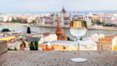 Leáldozóban a magyar bornak? Súlyos gondok vannak az ágazatban