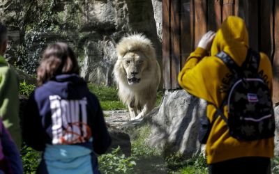 Megnyitották a pozsonyi állatkert árvíz óta zárva levő részét