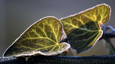 Itt az igazi késő őszi idő: hétvégén már fagyhat is