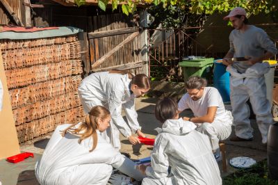 Rituálé és absztrakció: újra hatalmas táblaképek születtek Hajdúböszörményben