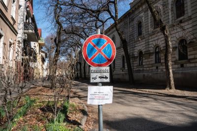 Éjszakai fakivágás lesz több szegedi utcában a héten