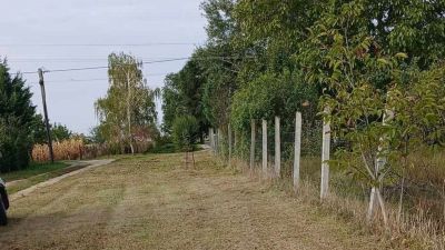 Kiirtották a bozótost, rendbe tették a területet