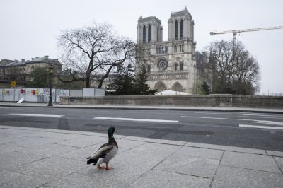 A francia kormány belépőt szedne a Notre-Dame-ba, a katolikus egyháznak nem tetszik az ötlet