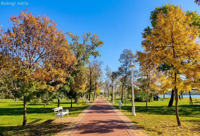 Az őszi Palicsi park – VIDEÓ