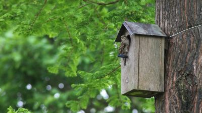 Idén is keresik az év madárbarát települését