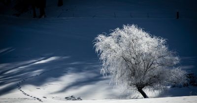 Jön az első hó! Már csak pár napot kell várni