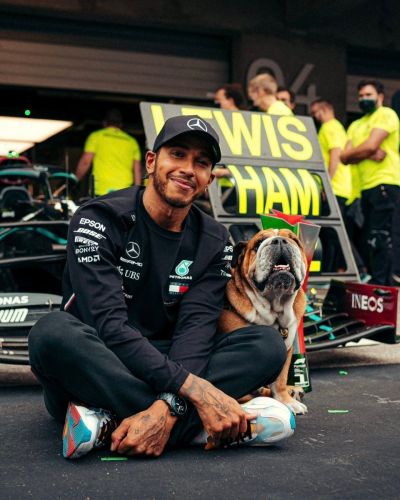 12 éves lett Roscoe, Lewis Hamilton kutyája