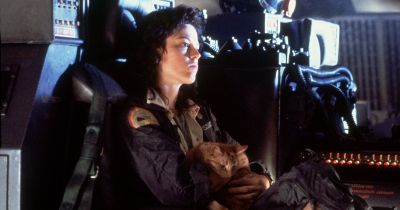 Senki nem hallotta a sikolyát, de milliók rajongtak érte: 75 éves lett Sigourney Weaver