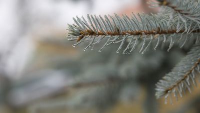 Közeleg Magyarországon a zöldkötvények időszaka